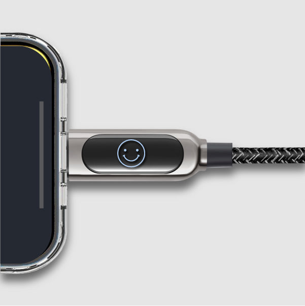PixelCable USB-C to USB-C 100W Cable (6ft)